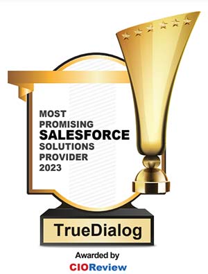 Top 10 Salesforce Solutions Companies - 2023