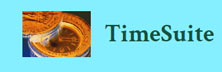 Timesuite Software: Intuitive, Scalable, Relational Architected Erp Solution