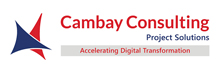 Cambay Consulting
