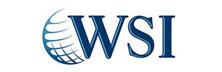 Wsi: Blueprinting Successful Digital Marketing Campaigns