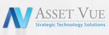 Asset Vue