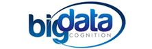 Big Data Cognition