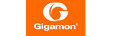 Gigamon