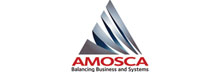 Amosca: Delivering Future-Proof Oracle Hyperion Epm Solutions