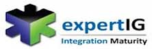 ExpertIG