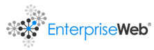 EnterpriseWeb LLC