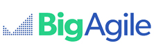 Big Agile