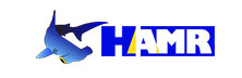 HAMR Analytic Technologies