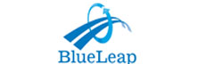 Blueleap Consulting: Where Innovation And Strategy Meets