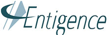 Entigence: Reengineering The Paradigm For Managing Faculty Data