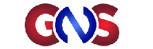 S-Badge