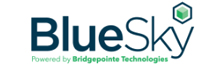 BlueSky IT Partners