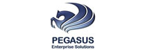Pegasus Enterprise Solutions