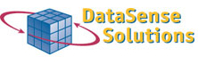 DataSense Solutions