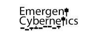 Emergent Cybernetics