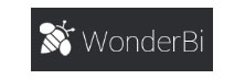 WonderBi Analytics