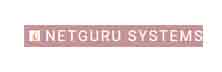 NetGuru Systems, Inc