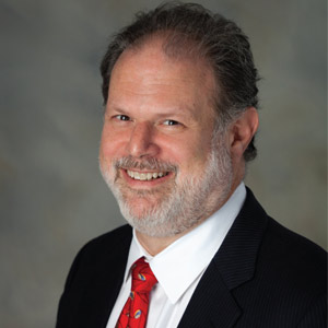System 1: Navigating Enterprise-Wide Risks by Focusing on Individual Vulnerabilities