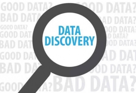 Data Discovery: Business Need of this hour