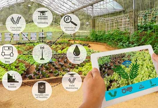Empowering Farmers with Blockchain Technology