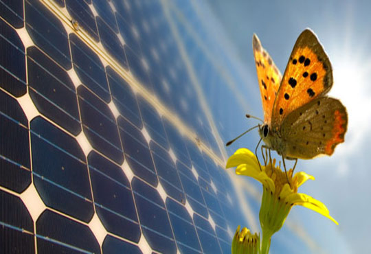 Enphase Energy Takes a Bold Step to Fortify Operations and Maintenance Services Offering