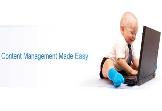 Systems Alliance Announces CMS SiteExecutive 2014