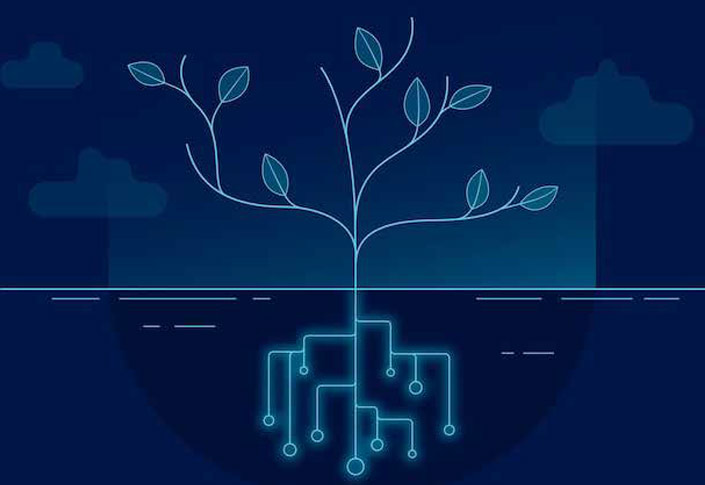 A Legacy of Operational Growth Rooted in Experience