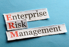 How is Enterprise Risk Management Important?