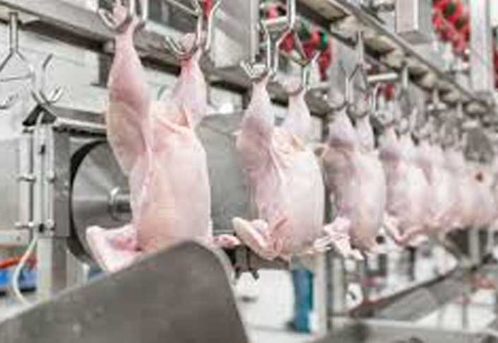 Technological Advances in Food Safety
