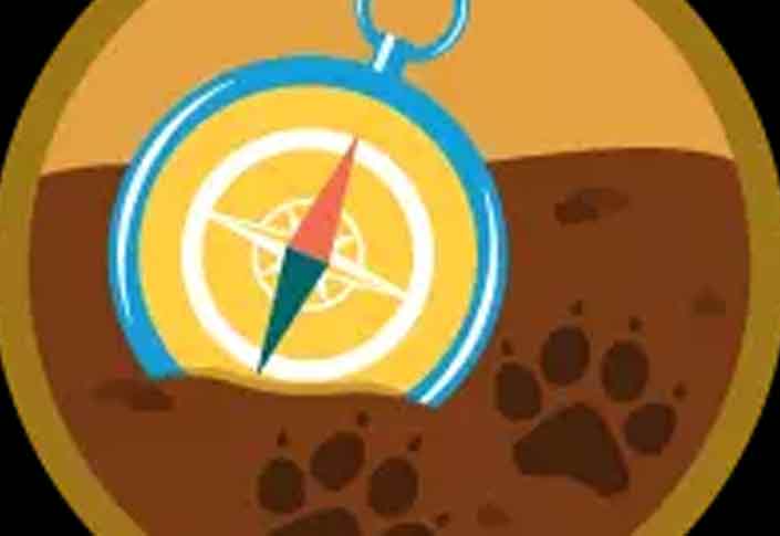 Inspiring Extraordinary Customer Success With Salesforce