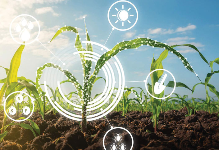 The Transformational Journey Of Agriculture In Azucarera