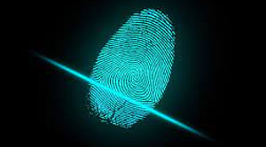 Why is Digital Forensic Important?
